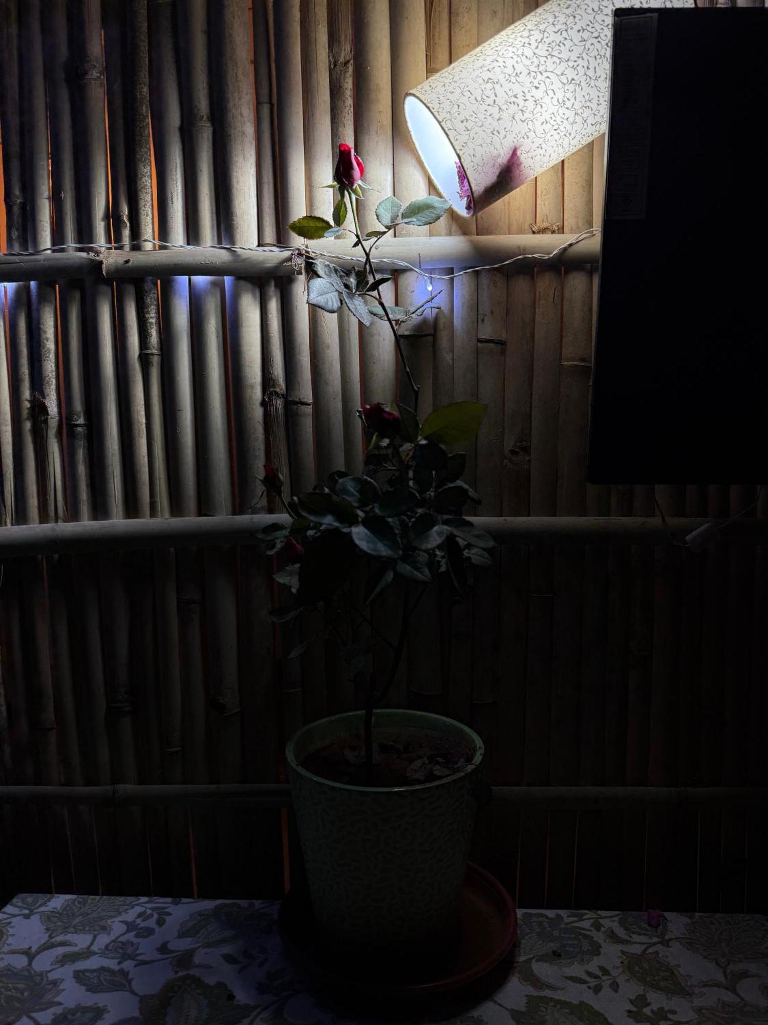 Area 369 Hotel Jaipur Ngoại thất bức ảnh